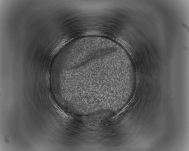 X0000097840345200804041448