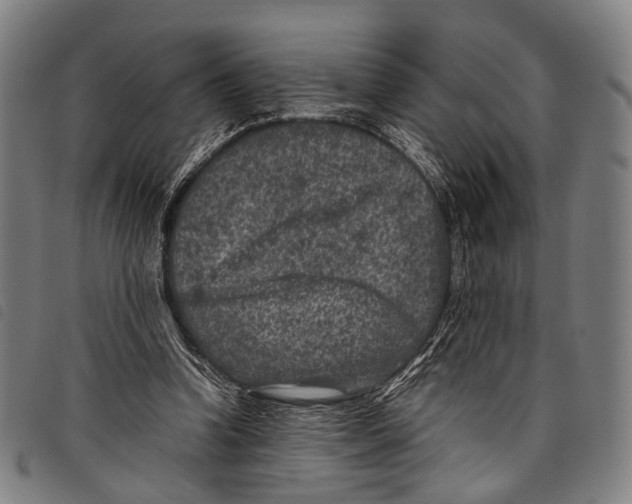 X0000097840346200804041448