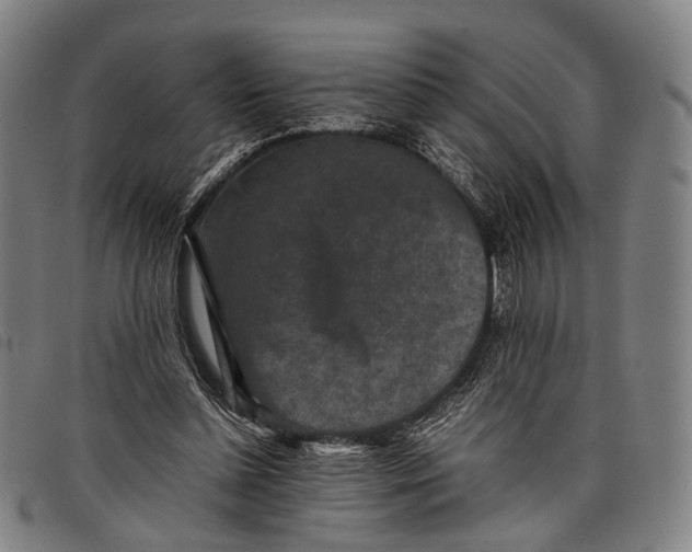 X0000097840348200804041448