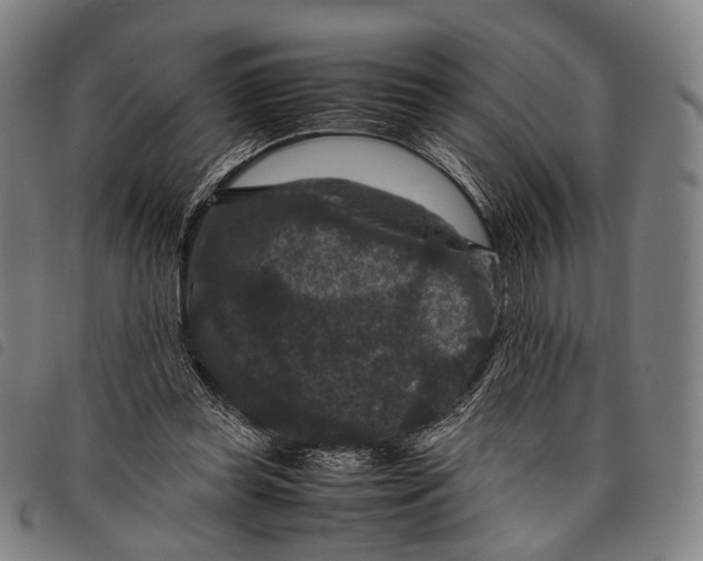 X0000097840349200804041449