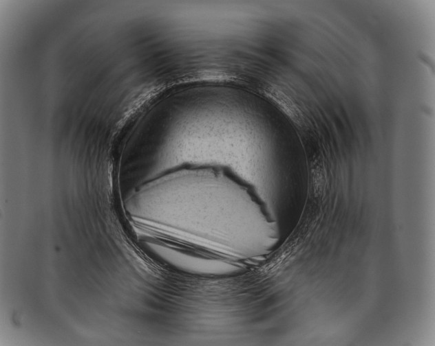X0000097840350200804041449