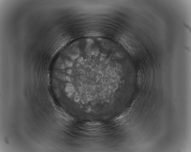 X0000097840351200804041449