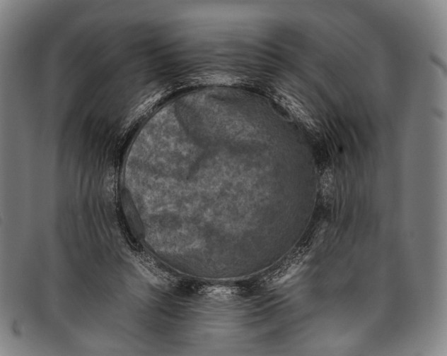 X0000097840352200804041449