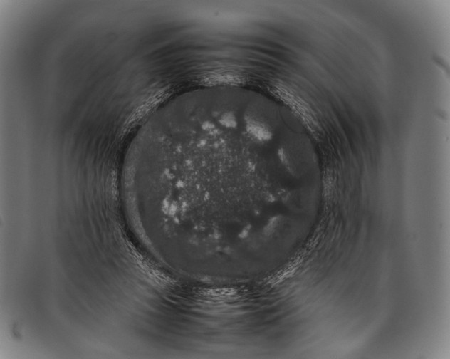 X0000097840353200804041449
