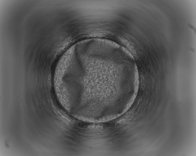 X0000097840354200804041449