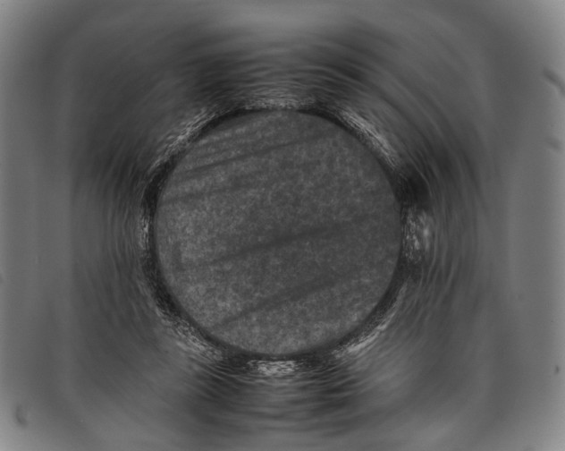 X0000097840355200804041449