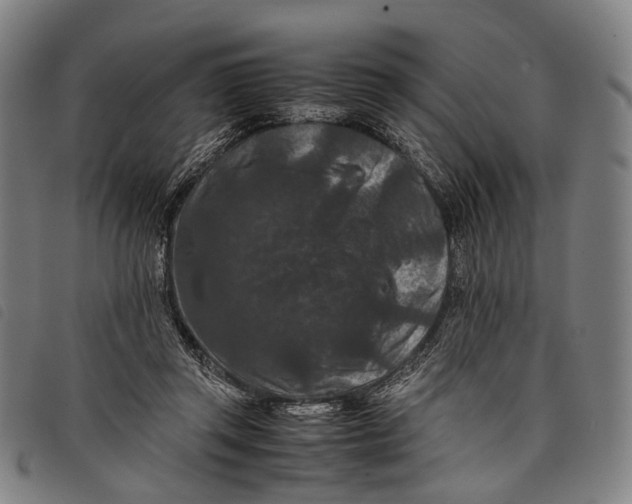 X0000097840357200804041449