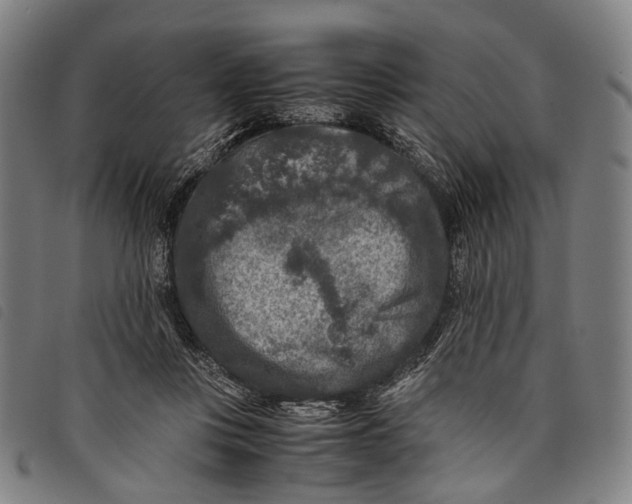 X0000097840359200804041449