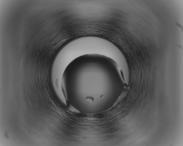 X0000097840360200804041449