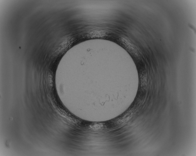 X0000097840362200804041449