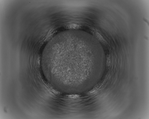 X0000097840363200804041449