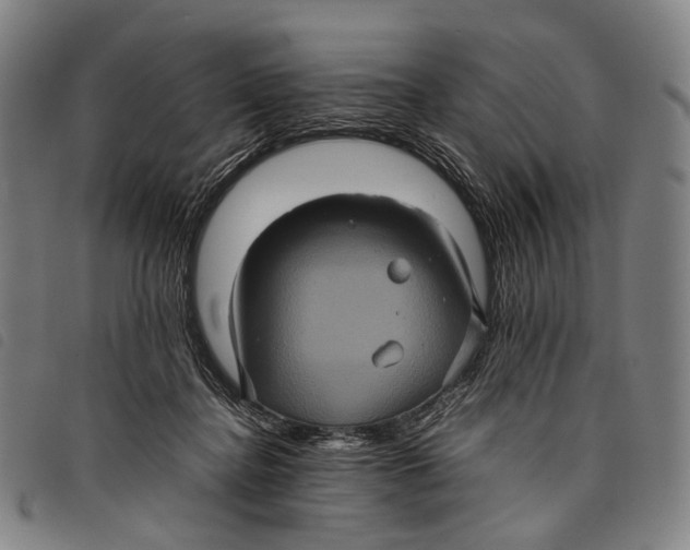 X0000097840364200804041449