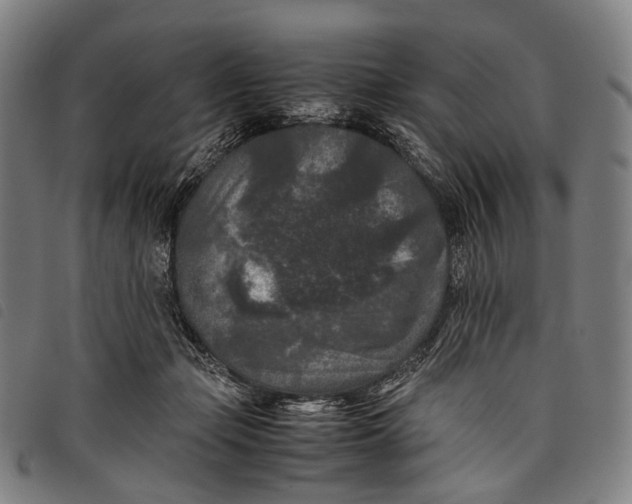 X0000097840365200804041449