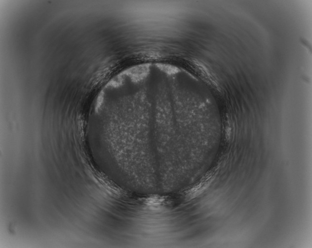 X0000097840366200804041449