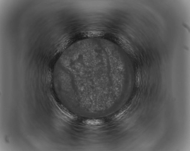 X0000097840367200804041449