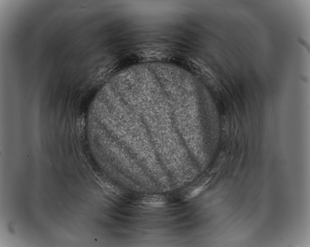 X0000097840369200804041449