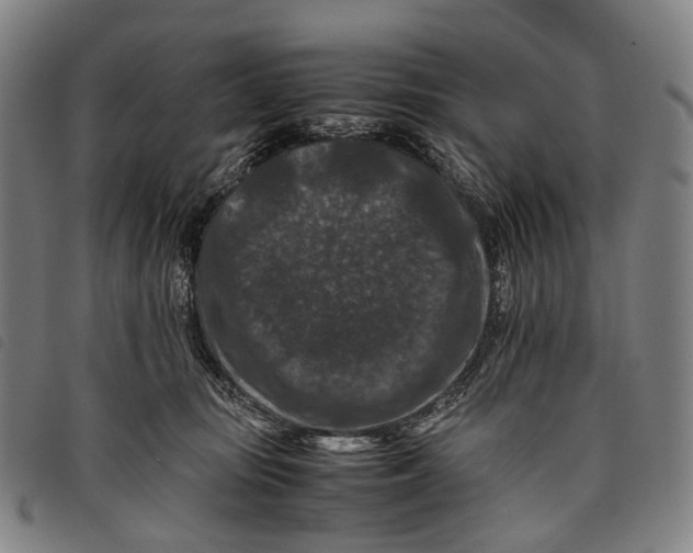X0000097840371200804041449