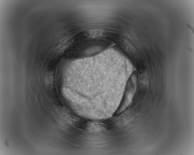 X0000097840372200804041449