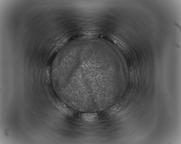 X0000097840373200804041449