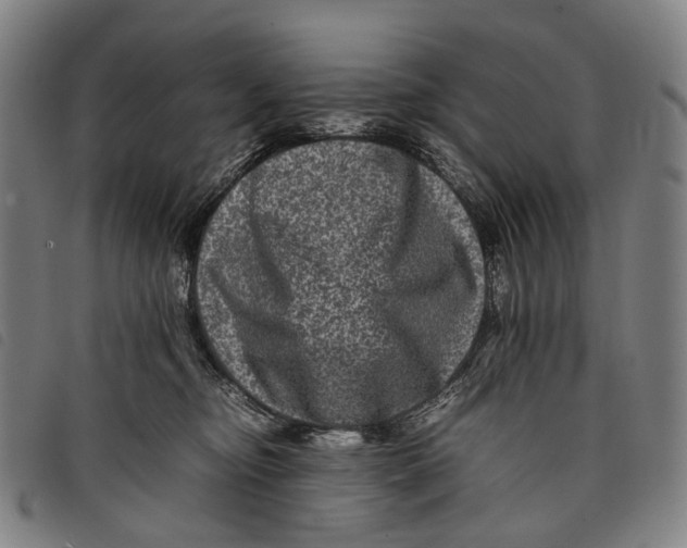 X0000097840374200804041449