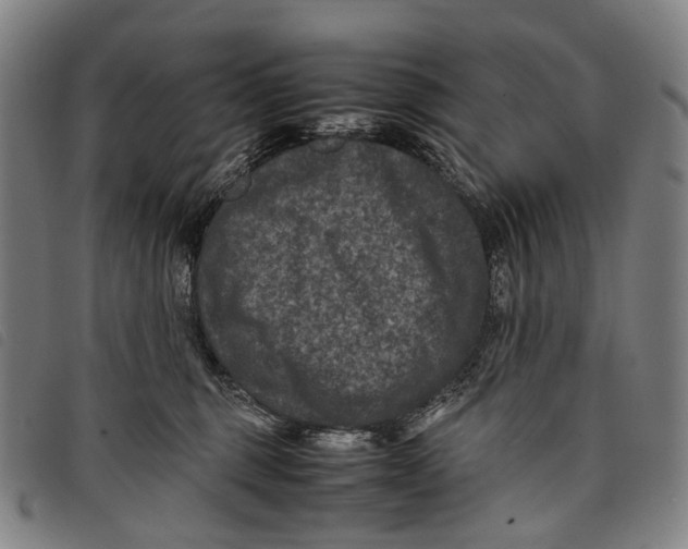 X0000097840375200804041449
