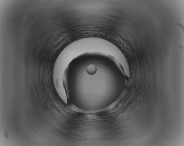 X0000097840376200804041449