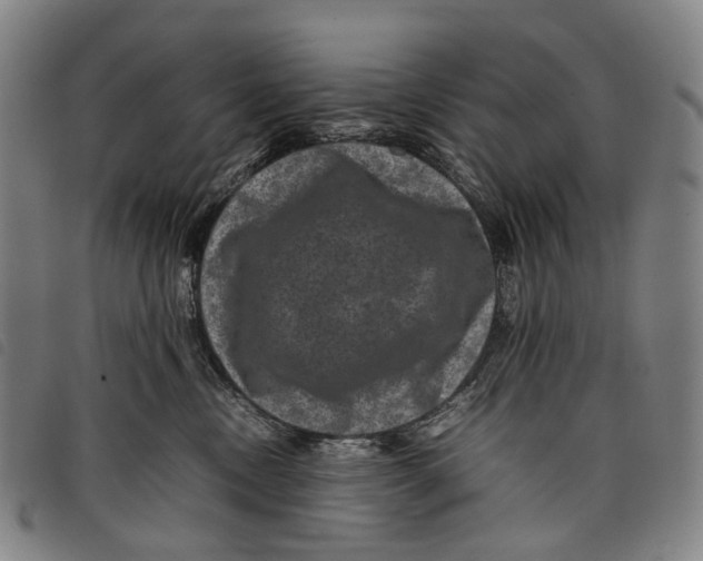 X0000097840378200804041449