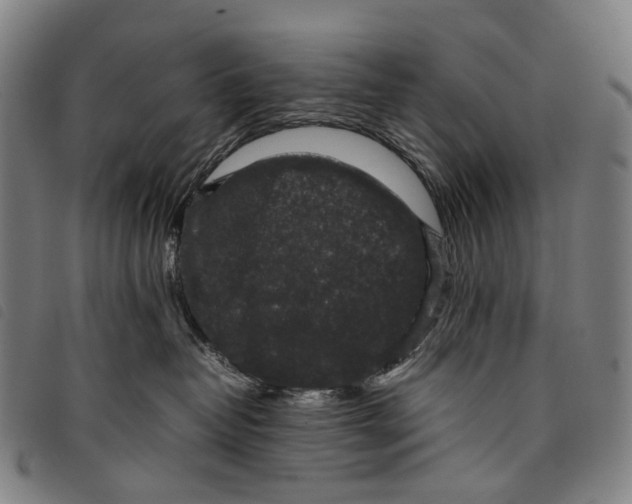 X0000097840382200804041449