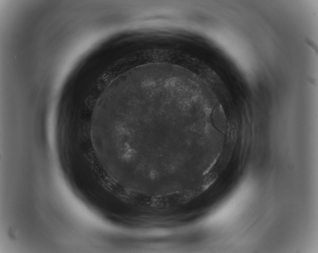 X0000097840383200804041449