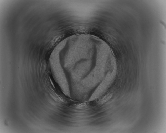X0000097840384200804041449