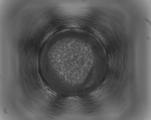 X0000097840386200804041448