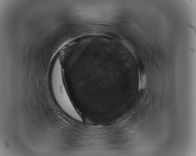 X0000097840387200804041448