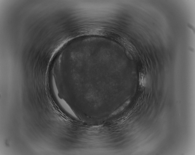 X0000097840388200804041448