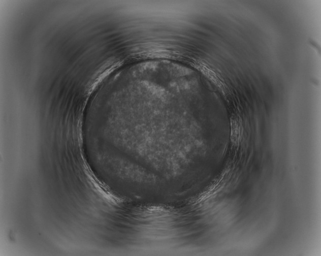 X0000097840390200804041448