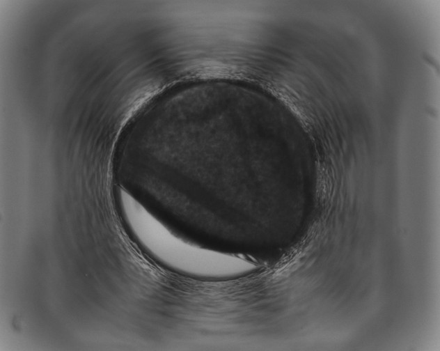 X0000097840391200804041448