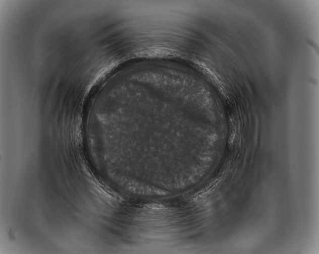 X0000097840392200804041448
