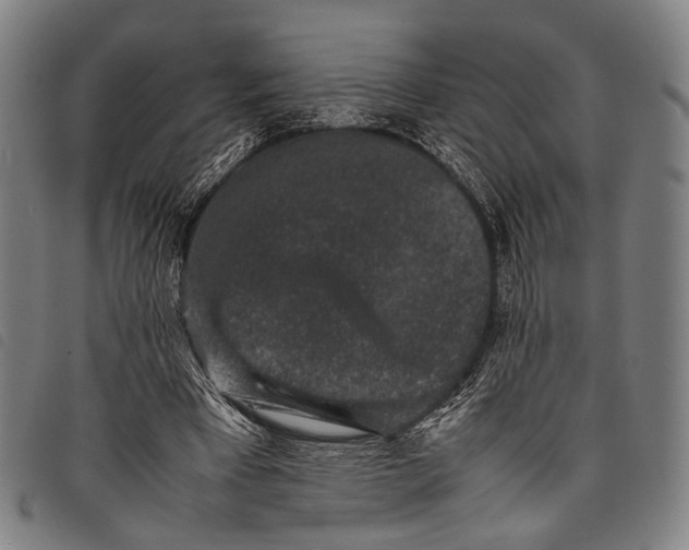 X0000097840393200804041448