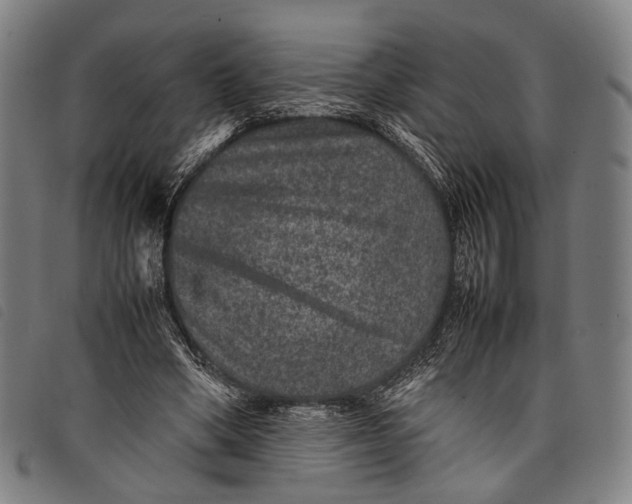 X0000097840394200804041448