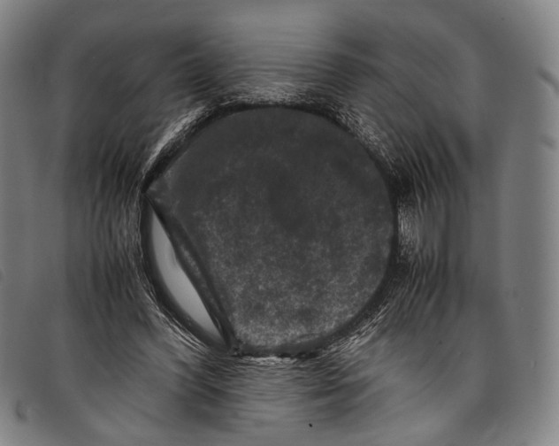 X0000097840396200804041448