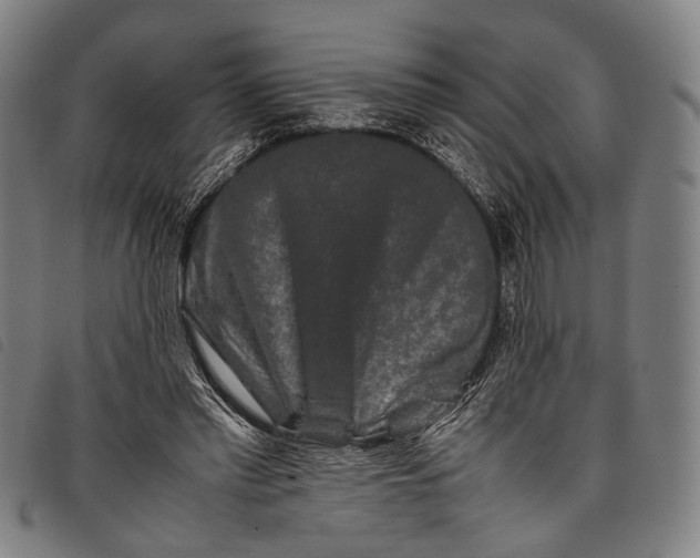 X0000097840397200804041448