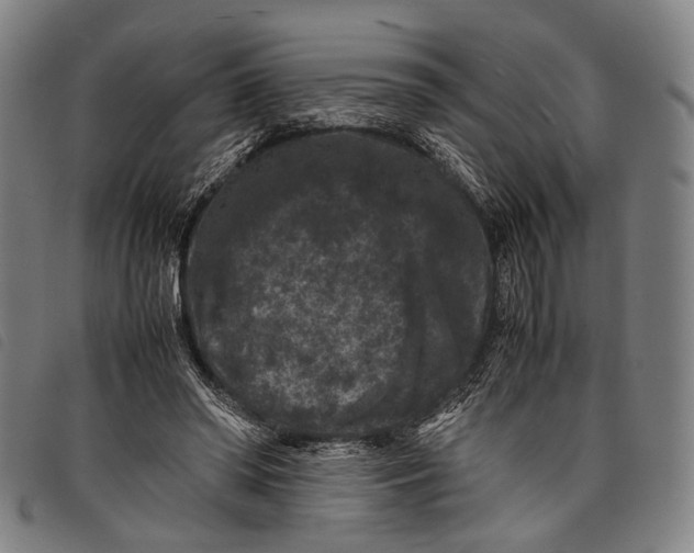 X0000097840398200804041448