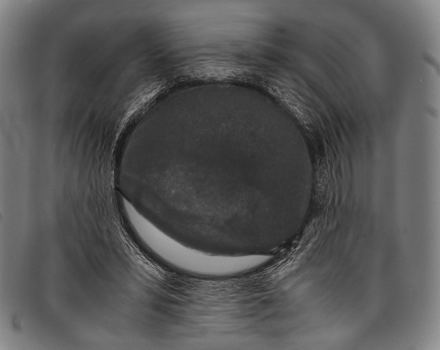 X0000097840399200804041448