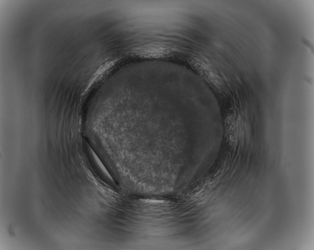 X0000097840400200804041448