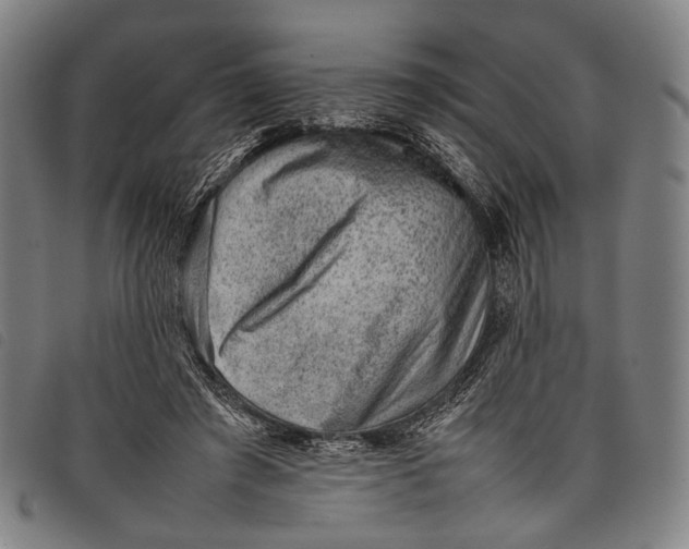 X0000097840401200804041448