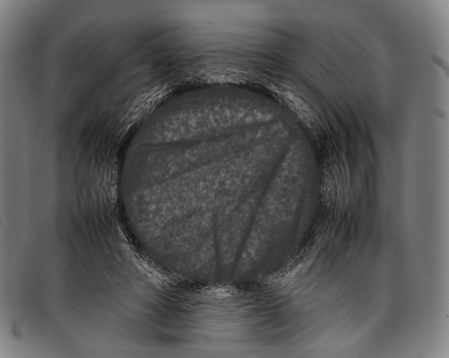 X0000097840402200804041448