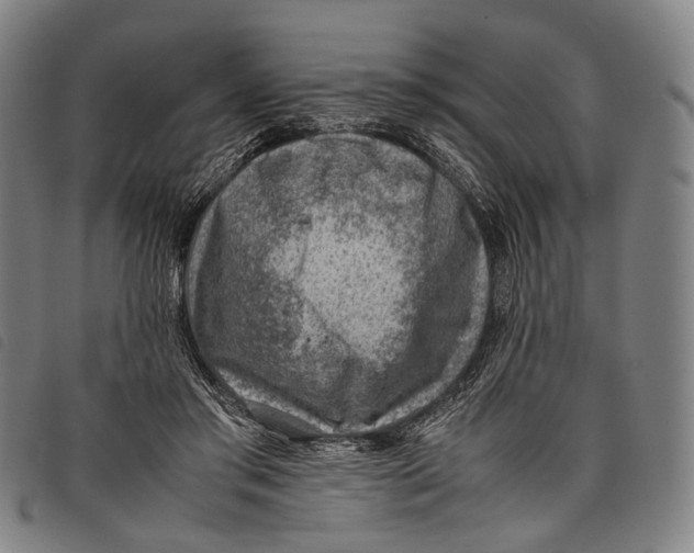 X0000097840405200804041448