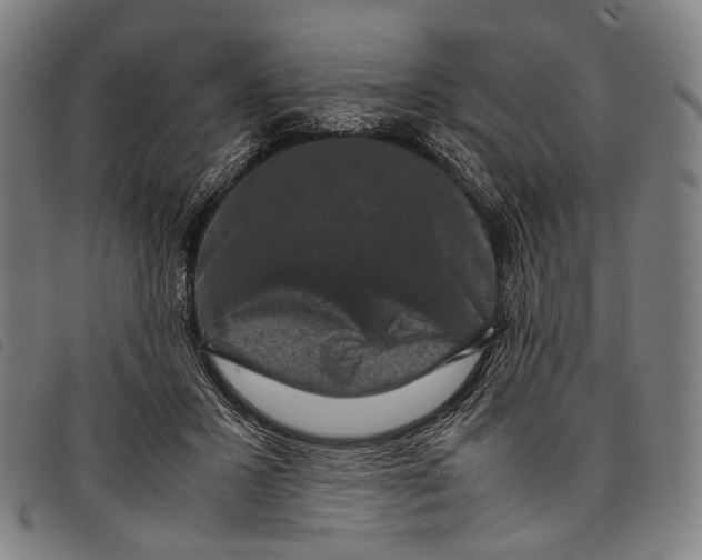 X0000097840407200804041448