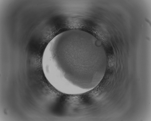 X0000097840411200804041448