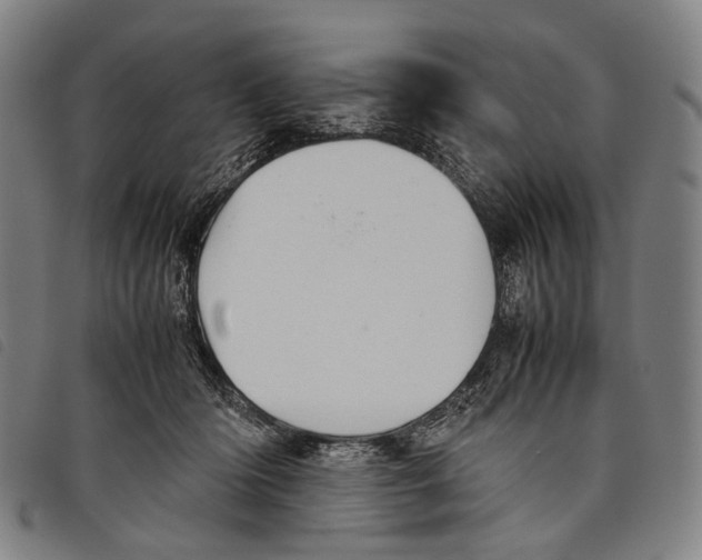X0000097840414200804041448