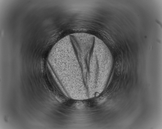 X0000097840416200804041448